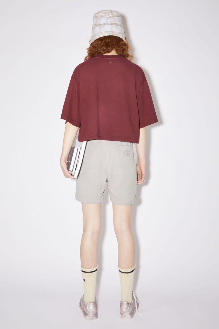 Burgundy / Red Acne Studios Crew Neck Women's T Shirts | ZNKL-97032