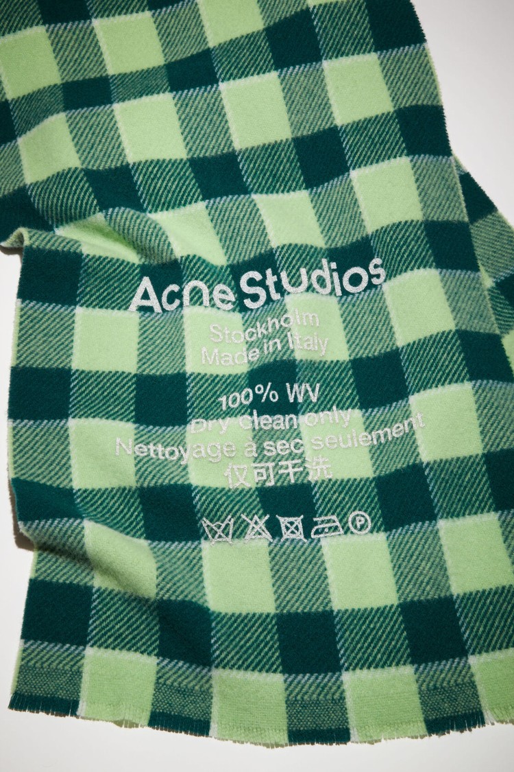 Green / Light Green Acne Studios Check Wool Scarf | FSIN-50671