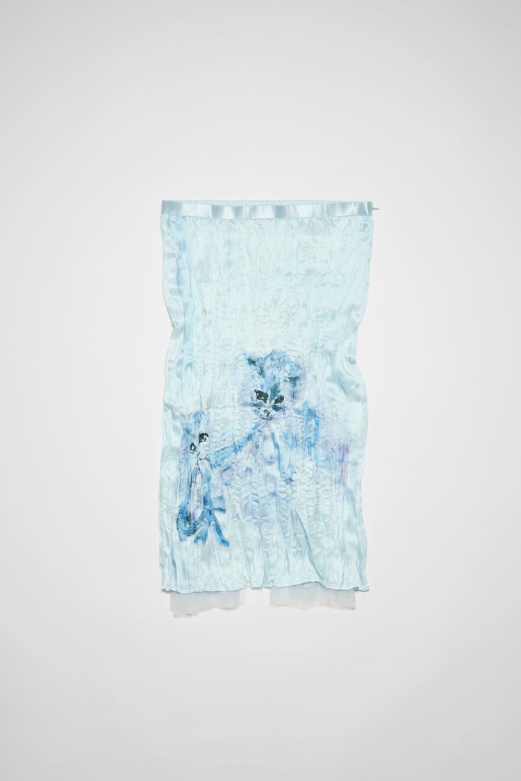 Light Blue Acne Studios Printed Women's Skirts | ZYPL-17365