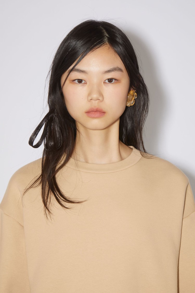 Light Brown Acne Studios Crew Neck Women's Sweatshirts | OCKL-95081