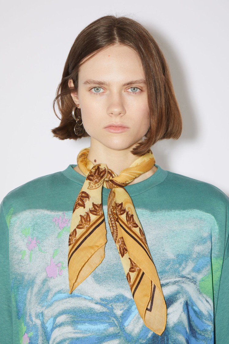 Orange / Yellow Acne Studios Printed Cashmere Scarf | PKJE-95603