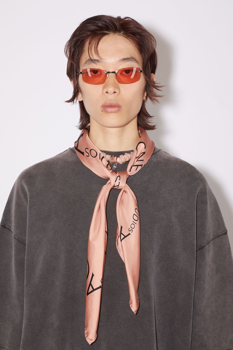 Pink Acne Studios Silk Logo - Medium Scarf | JPZB-39216